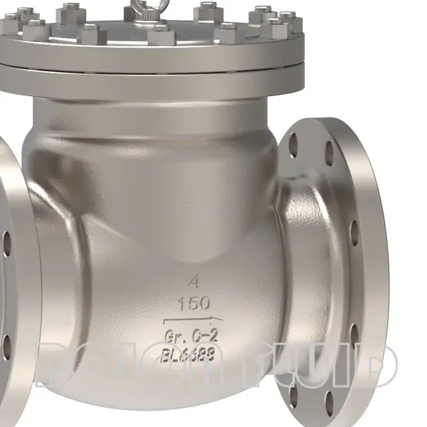API Standard Titanium B367 Gr.C-2 Flanged Swing Check Valve - 图片 2