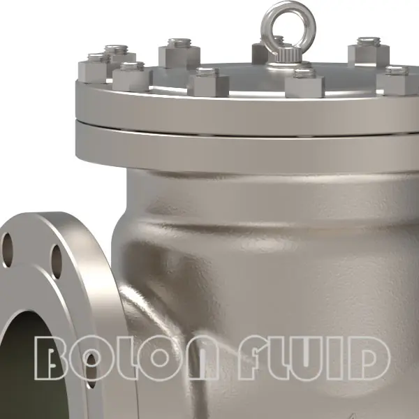 API Standard Titanium B367 Gr.C-2 Flanged Swing Check Valve - 图片 3